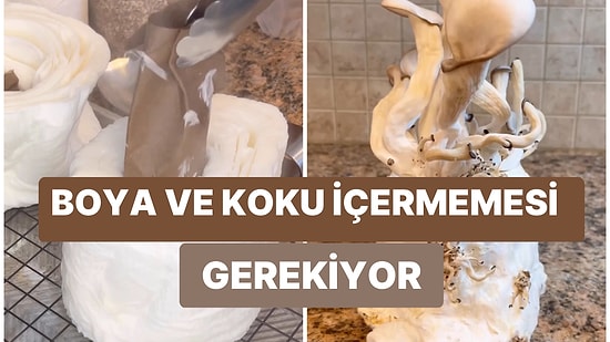 Tuvalet Kağıdında İstiridye Mantarı Yetiştirebileceğinizi Biliyor muydunuz?