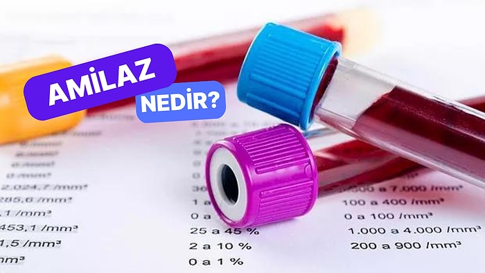 Pankreas Hastalıklarının Teşhisinde Kullanılan Tanı Yöntemi: Amilaz Nedir?