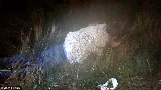 Заключенный из Боливии переоделся ОВЦОЙ, чтобы совершить побег из тюрьмы строго режима