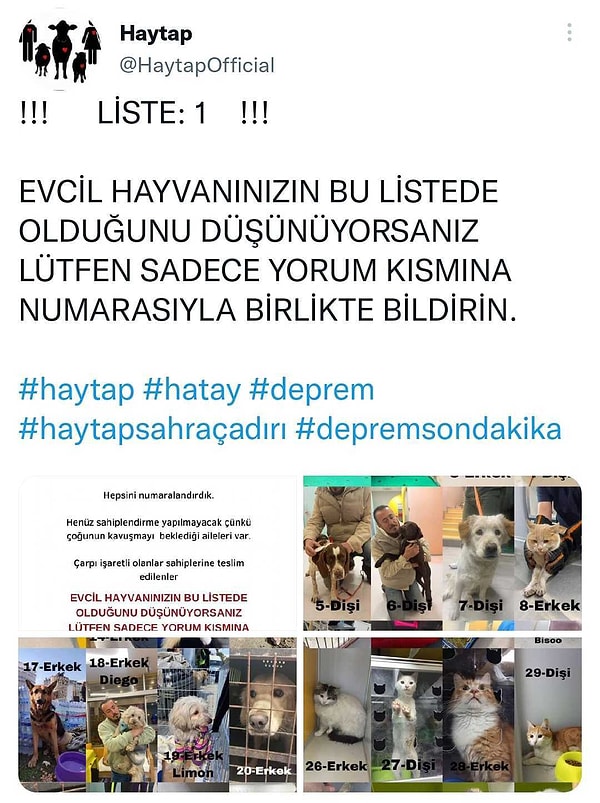 HAYTAP Bursa'ya getirilen evcil hayvanların fotoğraflarını Twitter'den paylaşmaya devam ediyor.