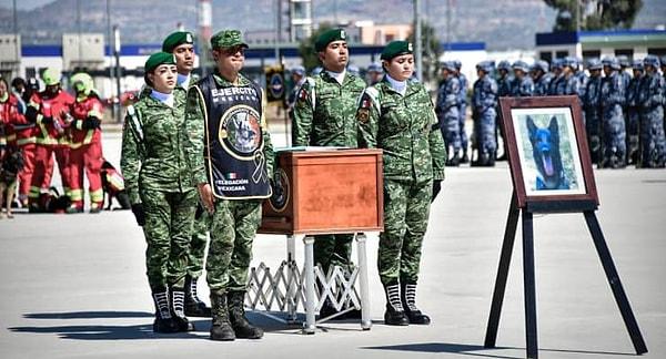 12 Şubat'ta hayatını kaybeden Proteo'nun cenazesi Meksika bayrağına sarılı bir tabutla ülkesine getirildi.