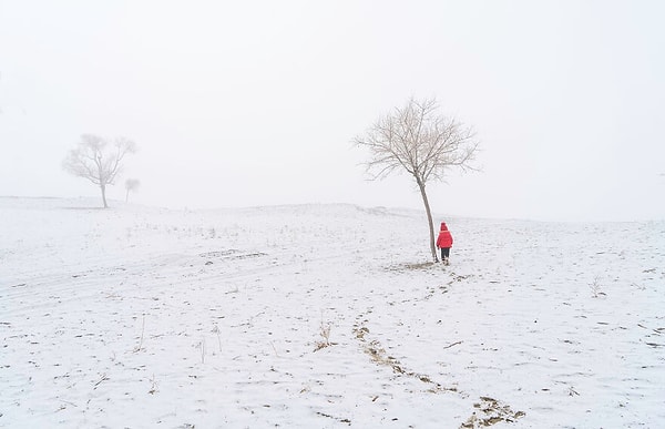 Явар Аббас, Пакистан — лауреат Национальной премии