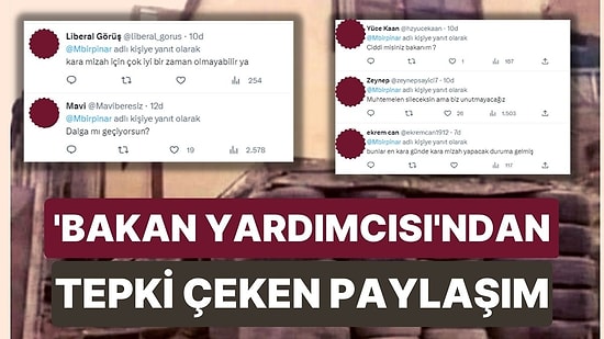 Bakan Yardımcısı Mehmet Emin Birpınar'dan Tepki Çeken Paylaşım