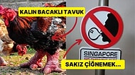 Asya'nın Eşi Benzeri Olmayan Bir Kıta Olduğunu Gösteren Birbirinden İlginç Bilgiler