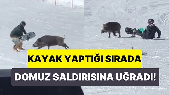 Kayak Yaparken Yaban Domuzunun Saldırısına Uğrayıp Ölümden Dönen Adamın Viral Olan Görüntüleri