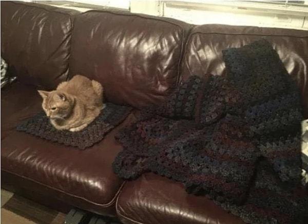 2. "Annem battaniye örerken kedim sürekli üstüne oturuyordu. O da artan iplerden ona minik bir tane daha yapmış."