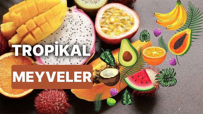 Tropikal Meyveler ve Faydaları: Yıldız, Jak, Liçi, Pitaya, Longan ve Birbirinden Egzotik Meyve Çeşitleri