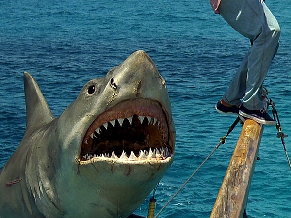 2. Jaws 4: İntikam (1987)