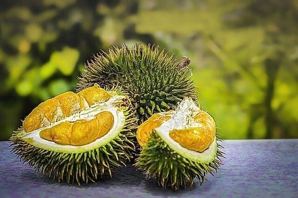 Durian Meyvesi