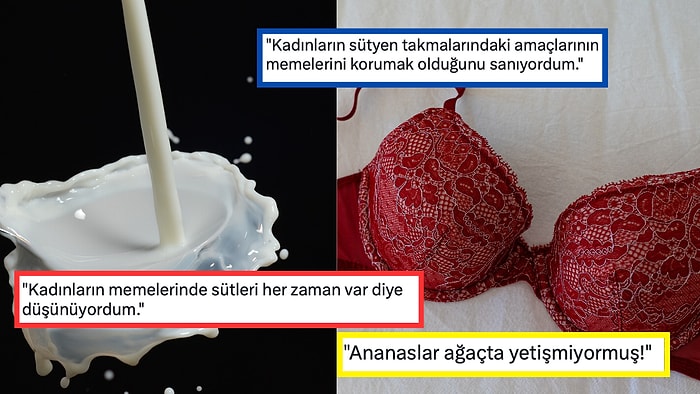 Öğrendiğinizde Hayatınızı Sorgulayıp 'Bu Kadar da Olmaz' Diyeceğiniz Birbirinden Absürt 15 İtiraf