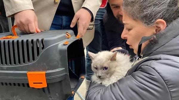Kedilerin kurtarılması amacıyla havadan ve karadan yapılan arama kurtarma çalışması sonuç vermeyince Şırnak’ın Silopi ilçesinden Türk Silahlı Kuvvetleri’ne ait 2 helikopter Diyarbakır’a geldi.   '