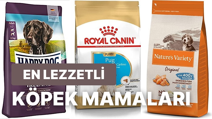 Köpekleriniz İçin Besleyici Kuru Mamalar ve İçerikleri