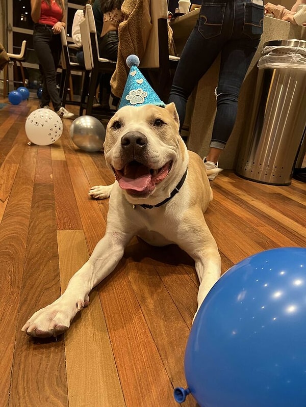 8. Главный гость на любом празднике 🎉