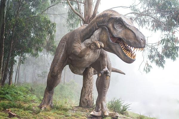 T-rex gibi bazı dinozorların neden devasa, yakın akrabalarının ise küçük olduğuna ışık tutan yeni bir fosil analizine göre, bazı dinozorların vücut büyüklükleri büyüme hızlarıyla bağlantılı değil.