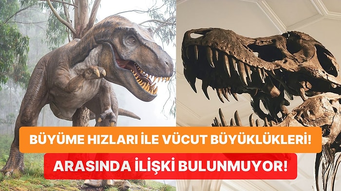 Bilim İnsanları T-Rex Gibi Dinozorlar Devasayken Neden Akrabalarının Daha Küçük Olduğunu Buldu!