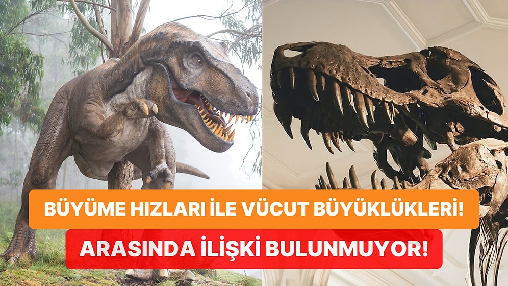 Bilim İnsanları T-Rex Gibi Dinozorlar Devasayken Neden Akrabalarının Daha Küçük Olduğunu Buldu!