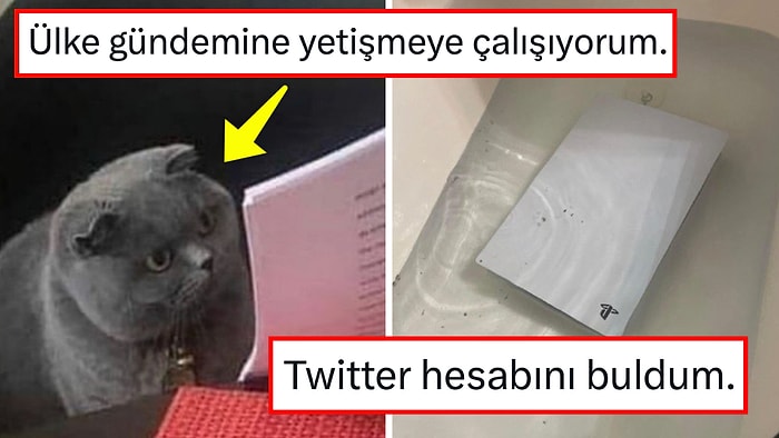 Denizaşırı Mizahta Bu Hafta: Yüzümüzü Bir Nebze de Olsa Güldüren Yabancı Tweetler