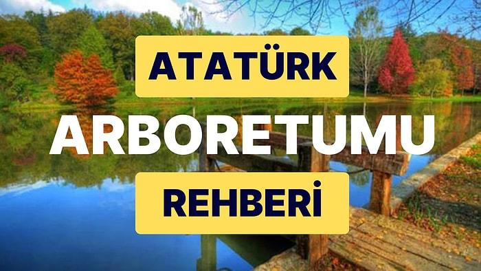 Atatürk Arboretumu: Her Ay Değişen Güzelliğiyle İstanbul'un En Özel Yeşil Alanı
