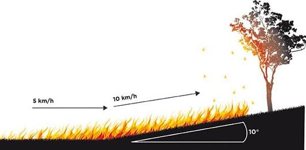 8. Bir yangın sadece yokuş yukarı daha hızlı yayılmakla kalmaz, her 10˚ yokuşta hızını ikiye katlar.
