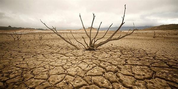 6. İklim değişiklileri ile birlikte yükselen su seviyeleri nedeniyle kıyı bölgeler ve tarım alanları yok olmanın eşiğine gelebilir.