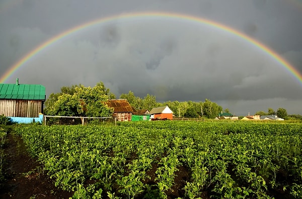 11. После дождя 💦