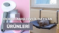 Size Söylediği Şeyi Yapıp Güven Veren Evcil Hayvan Ürünleri