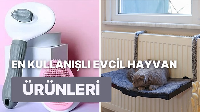 Size Söylediği Şeyi Yapıp Güven Veren Evcil Hayvan Ürünleri