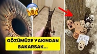 İnternetin Dehlizlerinden Gelip Sonsuza Dek Hafızanıza Yerleşecek Uyku Kaçırma Garantili 17 Tuhaf Görsel