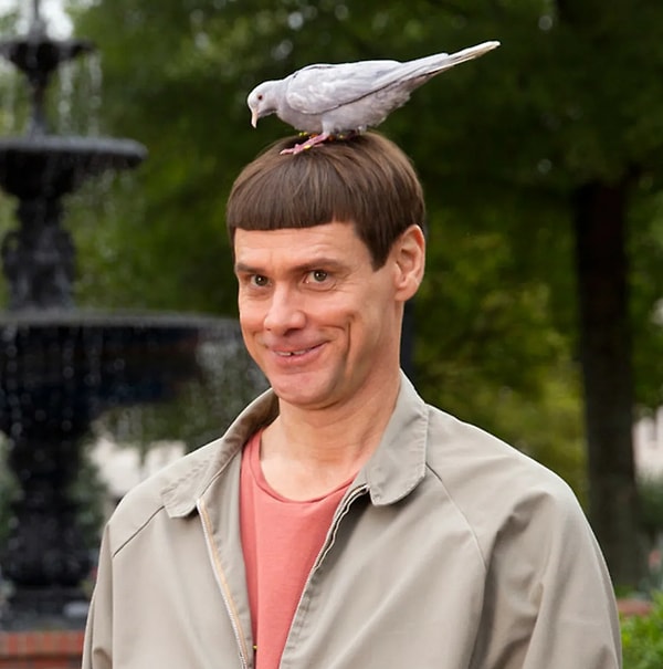 Ой, как мало правильных ответов!