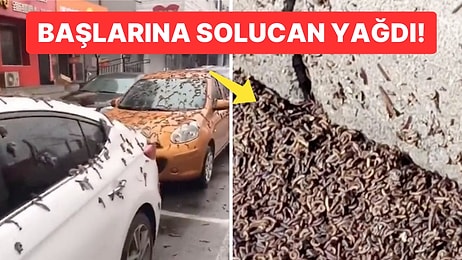 Bu da Oldu: Gökten Solucan Yağdığı Söyleniyor!