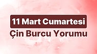 11 Mart Cumartesi Çin Burcuna Göre Günün Nasıl Geçecek?