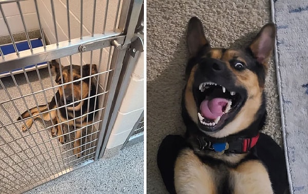 29. «Мой мальчик Джейк»