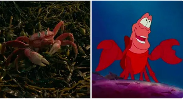 Дэйвид Диггс из Хэмилтона будет озвучивать Себастьяна: