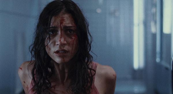 6. Martyrs (2008)
