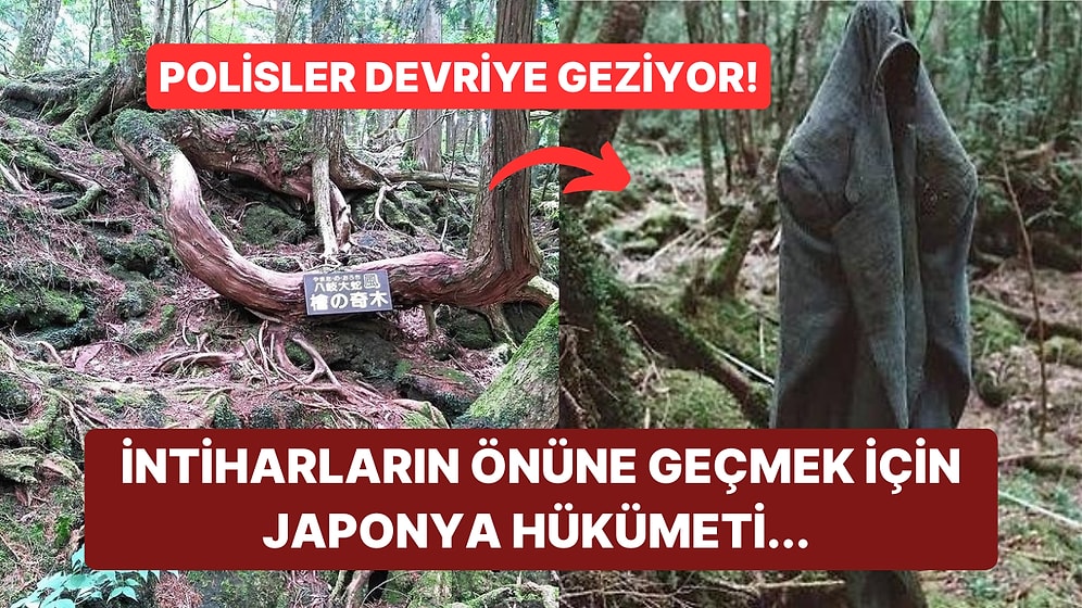Her Yıl Yüzlerce İnsanın Hayatını Kaybettiği İntihar Ormanı Aokigahara Hakkında Kanınızı Donduracak Bilgiler