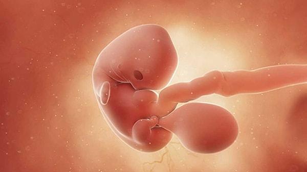 Gebeliğin ilk 3 aylık dönemi, anne karnındaki bebeğin organlarının tamamlandığı dönemdir ve gebelik sürecinin gidişatını belirlemekte oldukça önemlidir.