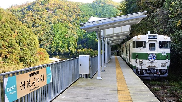 7. Japonya'da hiçbir insanın inip binemediği bir tren durağı var! Durağın kendisi sadece insanların kiraz ağaçları manzarasını izleyebilmeleri için inşa edilmiş...