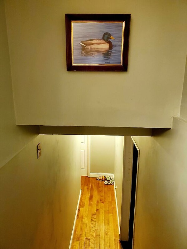 3. Гости постоянно бились головой о стену, спускаясь по лестнице, поэтому хозяева решили повесить вот такую картину 👇