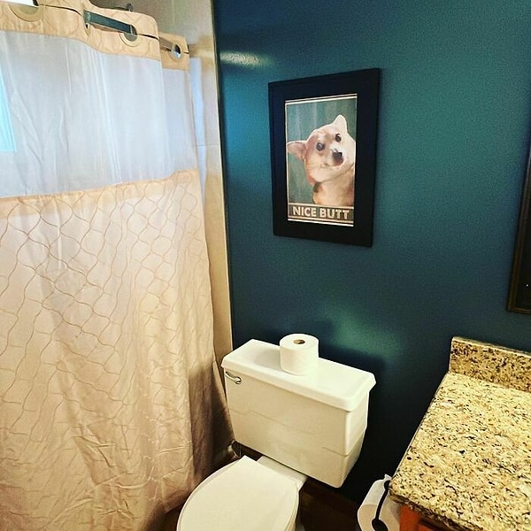 5. Разве можно найти более милую картину для украшения туалета?