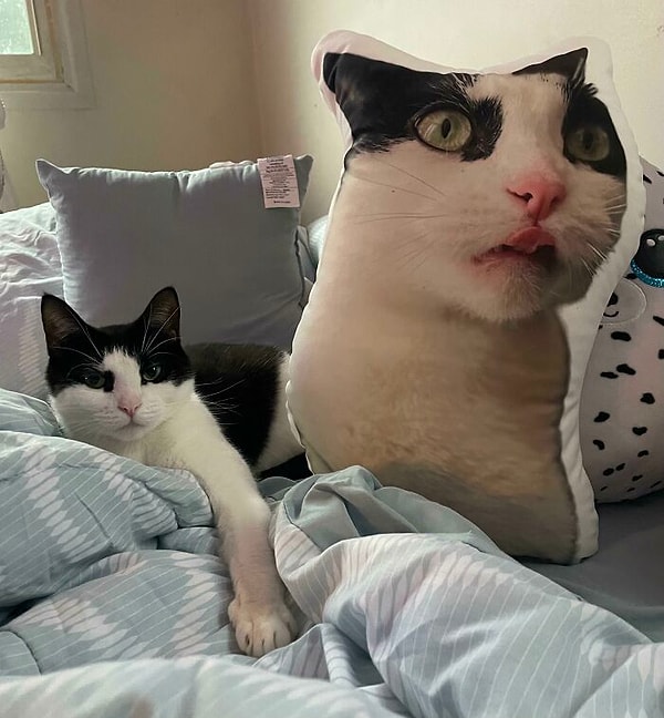 15. Выглядит весьма крипово...