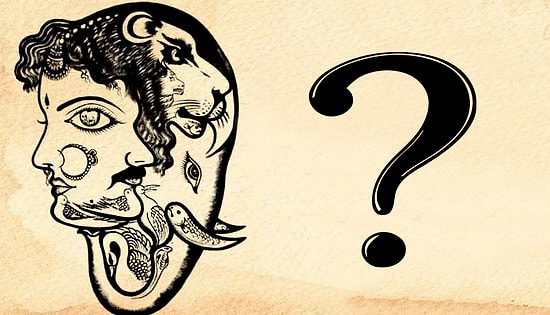 Тест: Только гений сможет найти здесь кролика. Получится ли у вас?