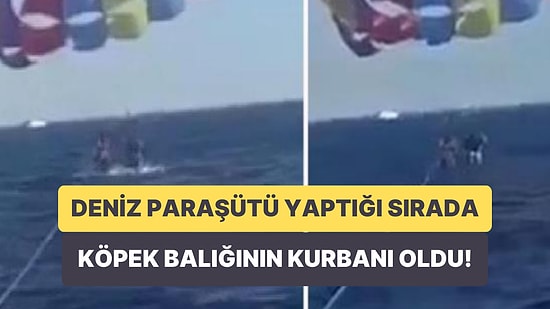 Kızıl Deniz Üzerinde Deniz Paraşütü Yapan Tunuslu Adamın Bacağını Köpek Balığı Isırdı