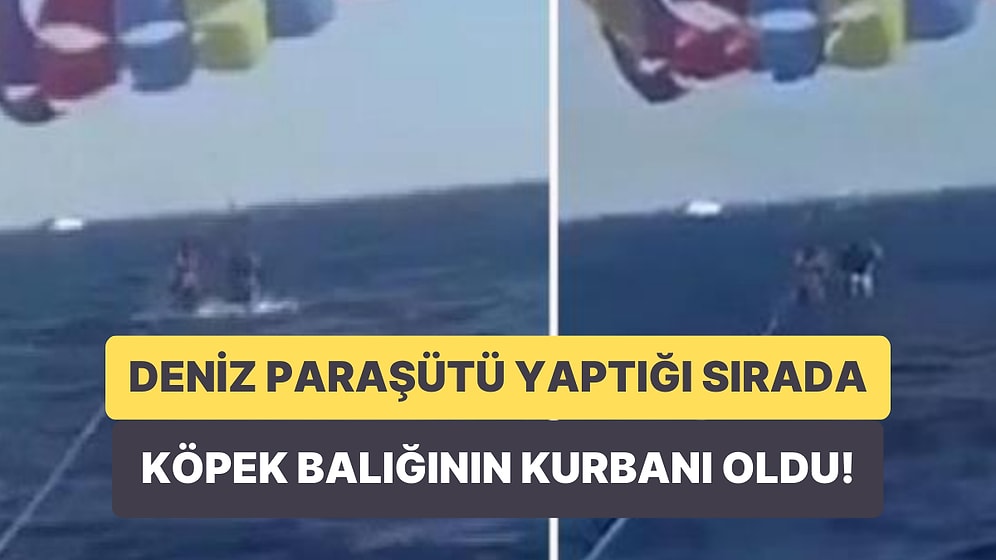 Kızıl Deniz Üzerinde Deniz Paraşütü Yapan Tunuslu Adamın Bacağını Köpek Balığı Isırdı