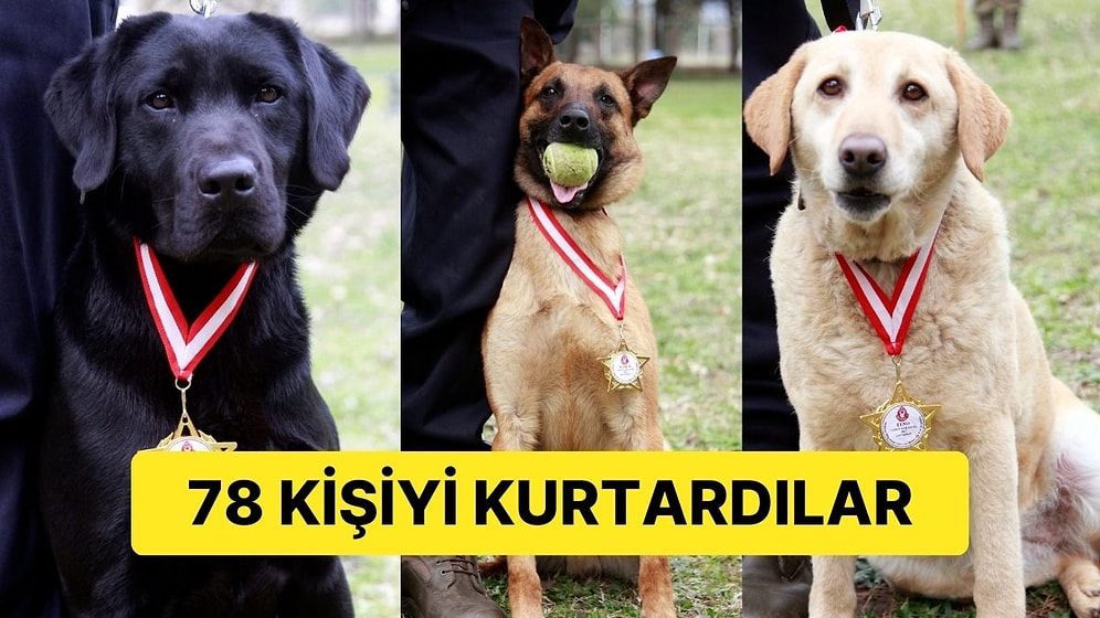 78 Kişiyi Kurtardılar: Depremin Kahramanları Madalya ile Ödüllendirildi