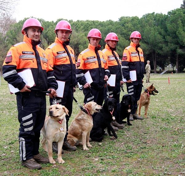 Kahramanmaraş’taki depremlerin ardından bölgede yürütülen arama kurtarma çalışmalarında görev yapan ekiplerin ‘sessiz kahramanları’ köpekler oldu.