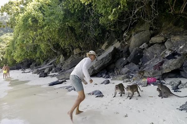 Seyahat içerikleriyle YouTube'da 1,8 milyon aboneye ulaşan Riley Whitelum ve Elayna Carausu, iki küçük oğulları ile Ko Phi Phi Don adasındaki Monkey Beach'i ziyaret ediyorlardı.