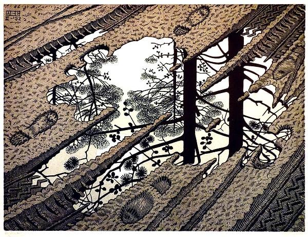 11. Puddle, M.C. Escher (1952)