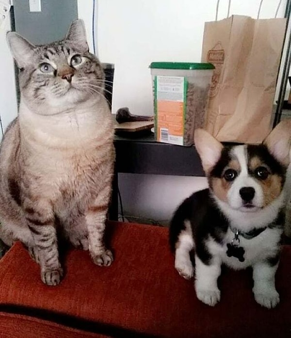 44. Нептун и Мокси