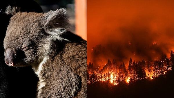 Kuzey Toprakları İtfaiye ve Kurtarma Servisi üneydeki orman yangını sezonunun Nisan ayı sonuna kadar uzatıldığını açıkladı.