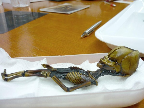 История Аты начиналась как история об инопланетянах, но в итоге получилась совсем другая и довольно трагическая